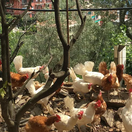Agriturismo Le Pale Kır Evi *